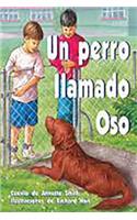 Un Perro Llamado Oso (Dog Called Bear)