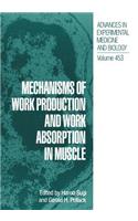 Mechanisms of Work Production and Work Absorption in Muscle