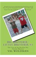 Big Brother/Little Brother #1