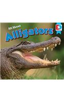 All about Alligators