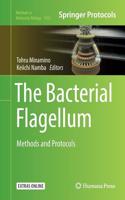 Bacterial Flagellum