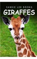 Giraffes - Sandie Lee Books