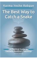 Best Way to Catch a Snake