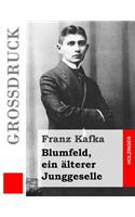 Blumfeld, ein älterer Junggeselle (Großdruck)