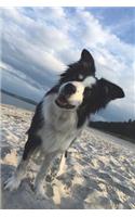 Dog on the Beach Journal: 150 Page Lined Notebook/Diary