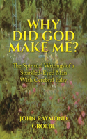 Why Did God Make Me?