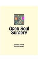 Vol. 3, Open Soul Surgery, large print edition