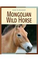 Mongolian Wild Horse