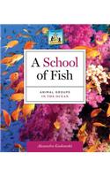 School of Fish: Animal Groups in the Ocean