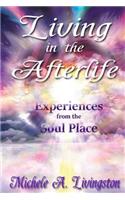 Living in the Afterlife