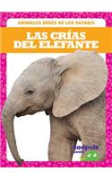 Las Crías del Elefante (Elephant Calves)