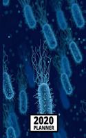 2020 Planner