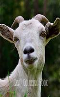 Goat Coloring Book: Goat Gifts for Toddlers, Kids ages 4-8, Girls Ages 8-12 or Adult Relaxation - Cute Stress Relief Animal Birthday Coloring Book Made in USA