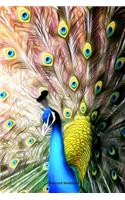 Peacock Notebook