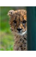 Adorable Cheetah Looking at You Dot Grid Bullet Journal