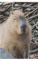 The Capybara Checks You Out Journal