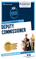 Deputy Commissioner (C-1241)
