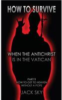 How To Survive When The Antichrist Is In the Vatican