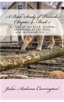 A Bible Study of Proverbs Chapter 9--Book 3