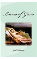 Leaves of Grass