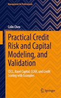 Practical Credit Risk and Capital Modeling, and Validation