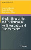 Shocks, Singularities and Oscillations in Nonlinear Optics and Fluid Mechanics