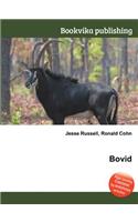 Bovid