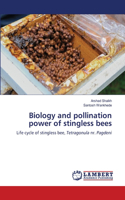 Biology and pollination power of stingless bees