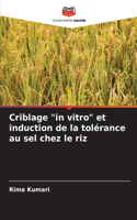 Criblage "in vitro" et induction de la tolérance au sel chez le riz