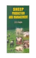 Sheep Production and Management