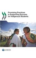 Promising practices in supporting success for indigenous students