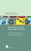 Responding to Systemic Human Rights Violations