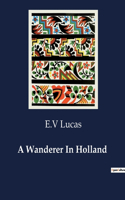 Wanderer In Holland