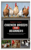 Chicken Breeds for Beginners