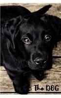 The DOG