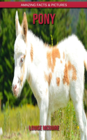 Pony
