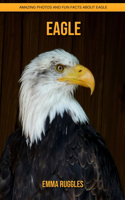 Eagle: Amazing Photos and Fun Facts about Eagle