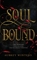 Soul Bound: The Shadow World Book 2(2 Shadow World)