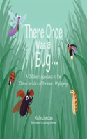 There Once Was a Bug...