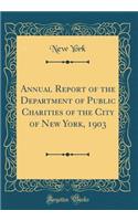 Annual Report of the Department of Public Charities of the City of New York, 1903 (Classic Reprint)