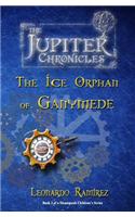 The Ice Orphan of Ganymede