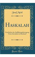 Haskalah: Geschichte Der AufklÃ¤rungsbewegung Unter Den Juden in Russland (Classic Reprint)