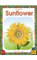 Joy Starters Sunflower