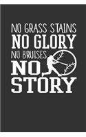 No Grass Stains No Glory No Bruises No Story