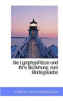 Die Lymphgefässe Und Ihre Beziehung Zum Bindegewebe