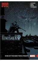 The Punisher Vol. 3