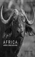 Africa Wildlife in Black and White 2017