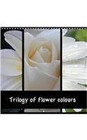 Trilogy of Flower Colours 2018