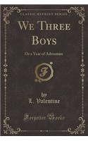 We Three Boys: Or a Year of Adventure (Classic Reprint)(English)