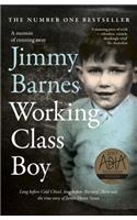 Working Class Boy: The Number 1 Bestselling Memoir